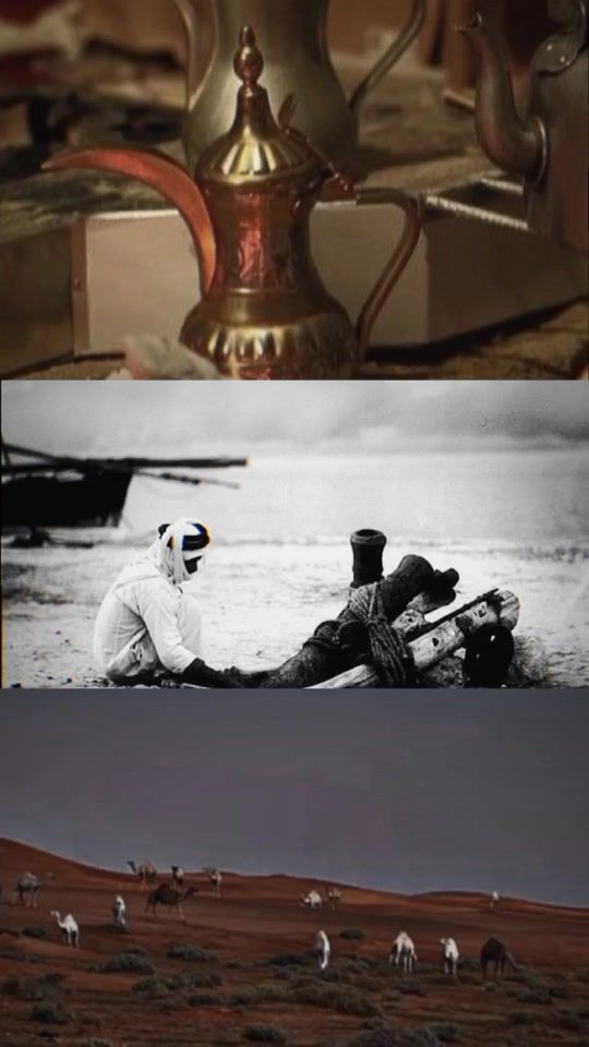 TikTok video thumbnail by user7933116715337