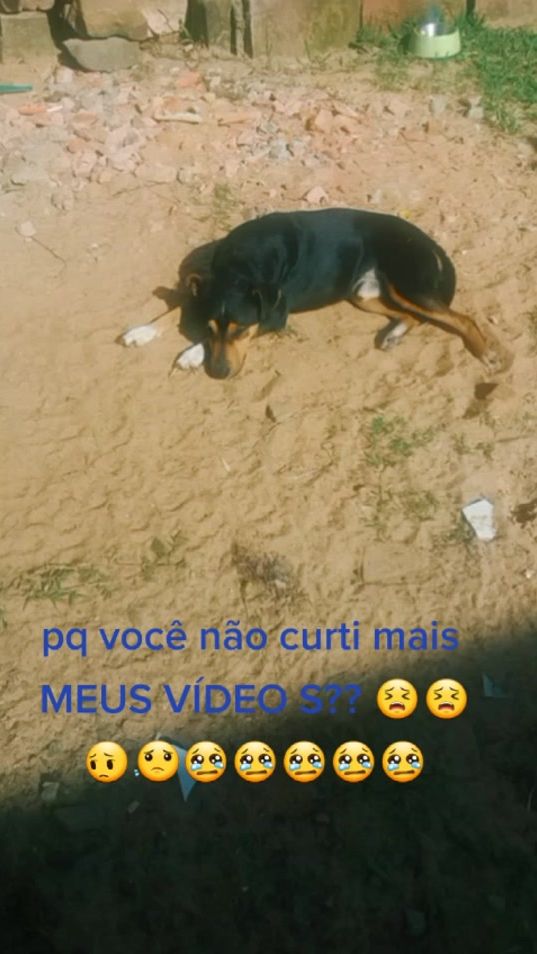 TikTok video thumbnail by marley_e_vc