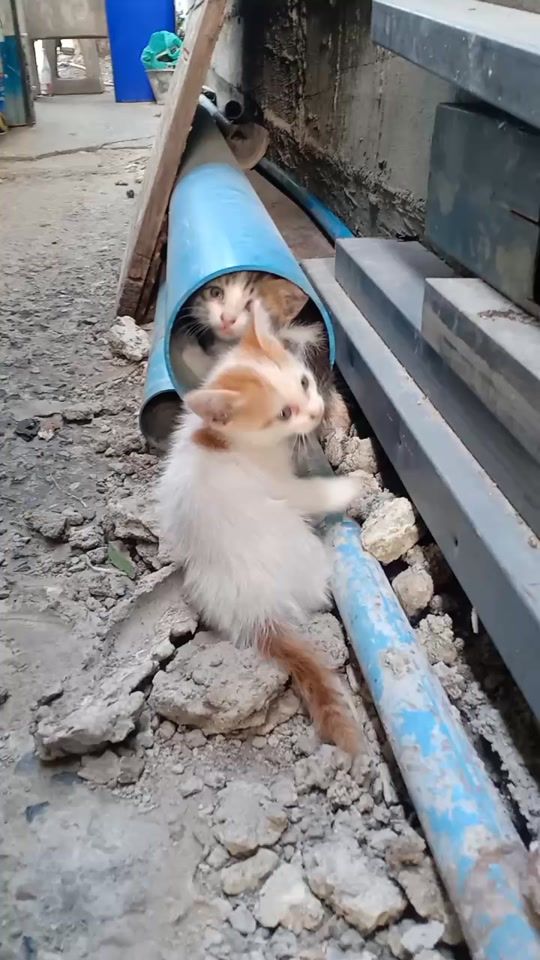 TikTok video thumbnail by chanida.090
