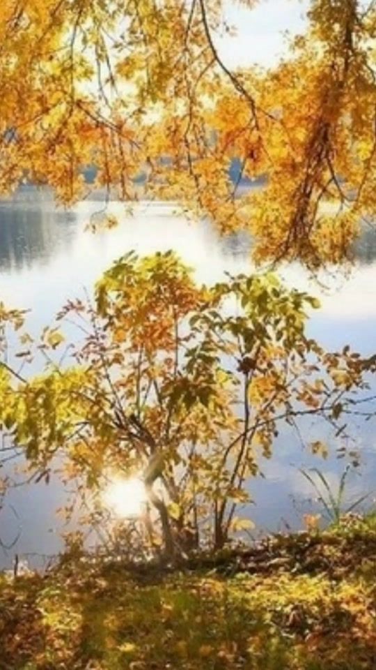 TikTok video thumbnail by la0478