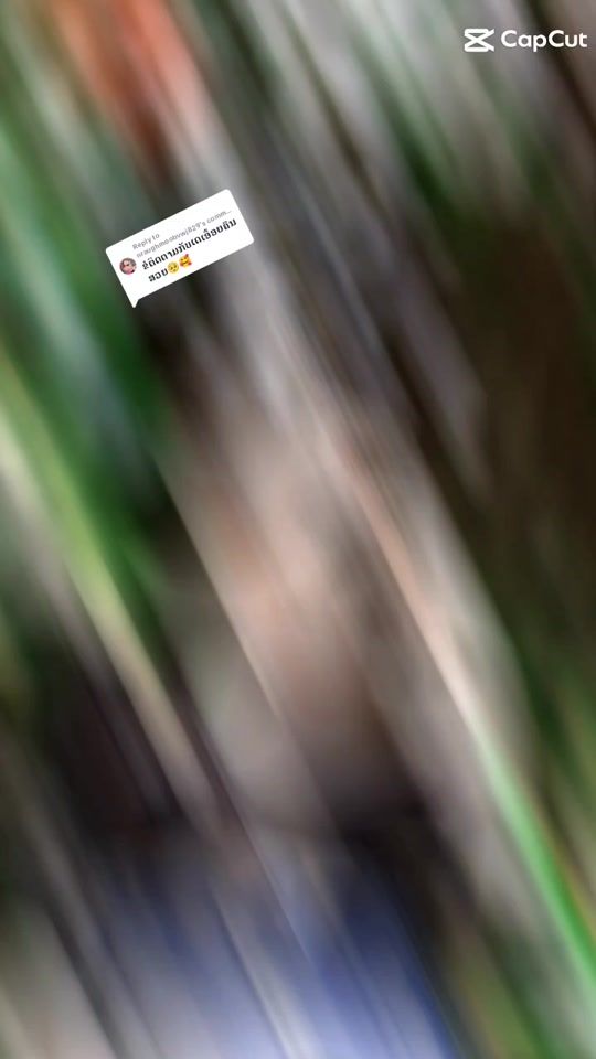 TikTok video thumbnail by user49676932453167