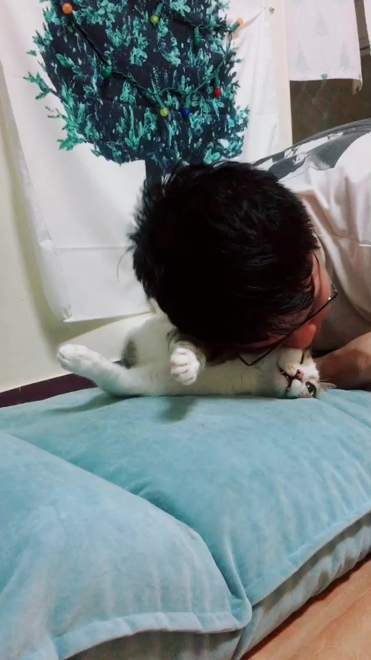 TikTok video thumbnail by c.pucca_garu.m