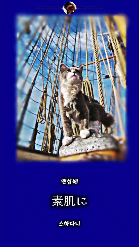 TikTok video thumbnail by wlfkfnono
