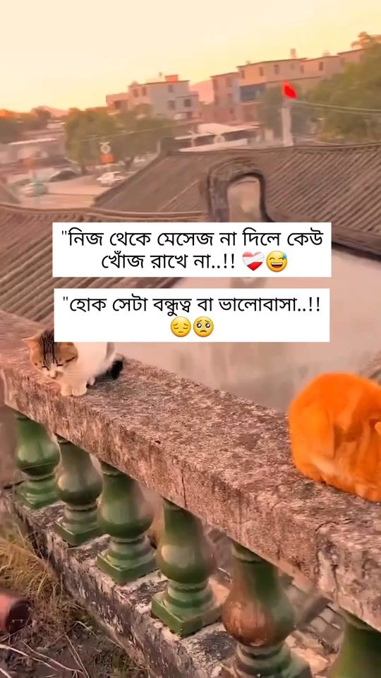 TikTok video thumbnail by bd_anik_official