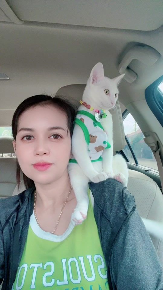 TikTok video thumbnail by aomjai_1981