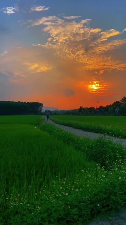 TikTok video thumbnail by buffalo.29