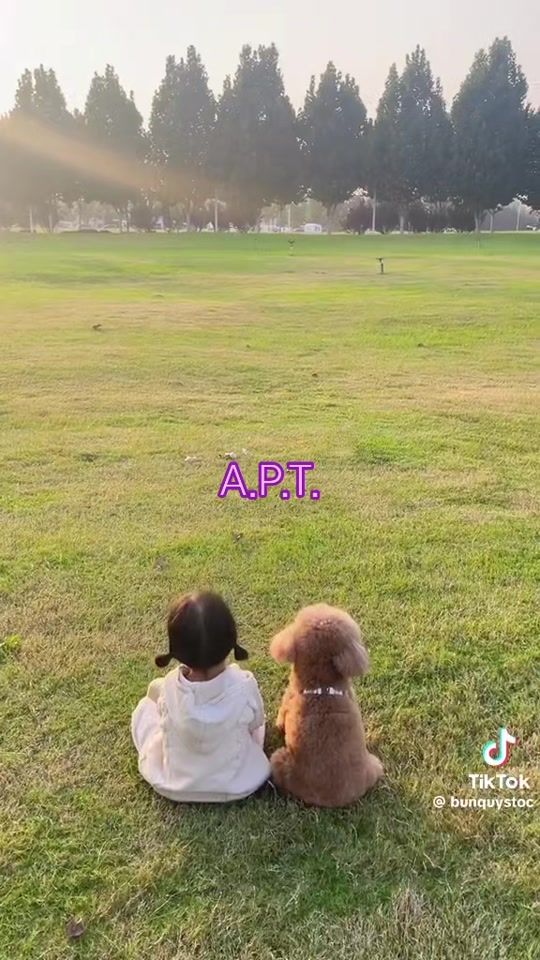 TikTok video thumbnail by sunmoon1021