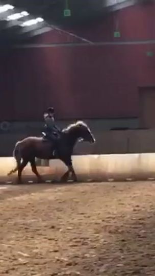 TikTok video thumbnail by horses.lifee._