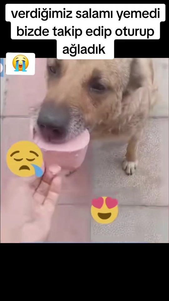 TikTok video thumbnail by kizilate