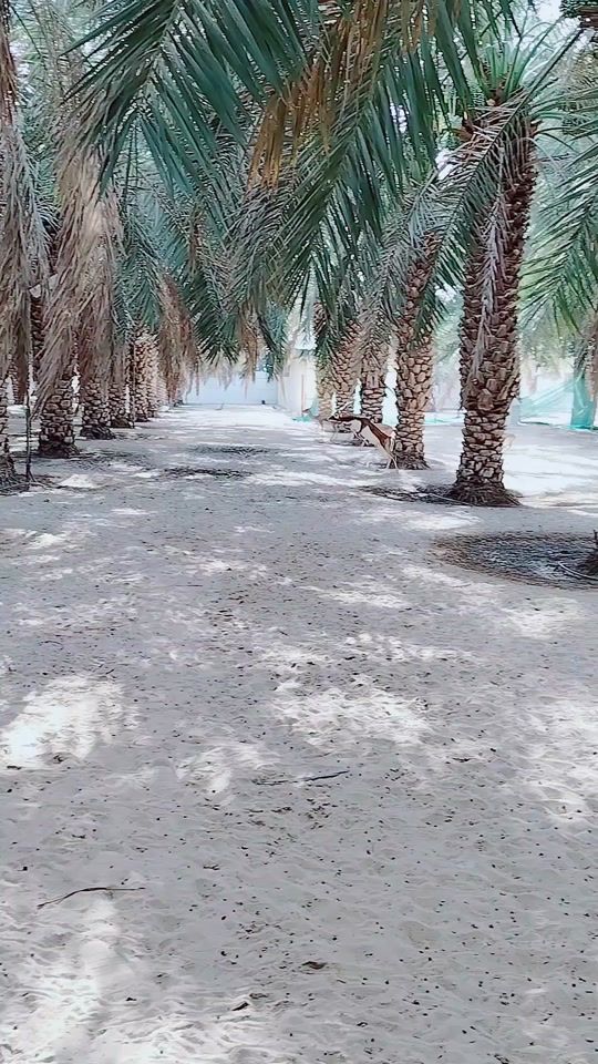 TikTok video thumbnail by shaik.jafarvali