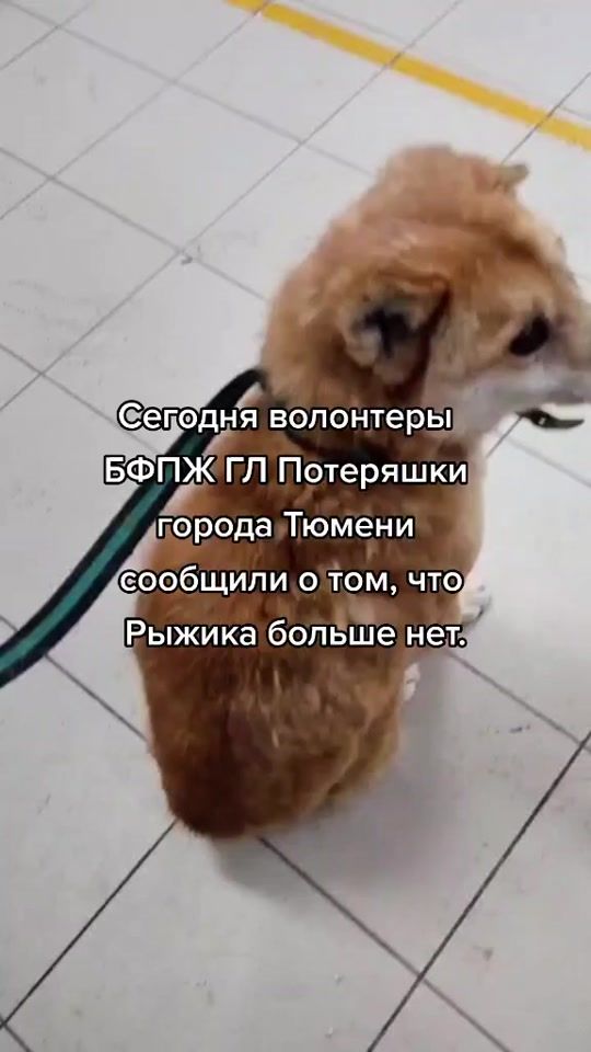 TikTok video thumbnail by an.lagom