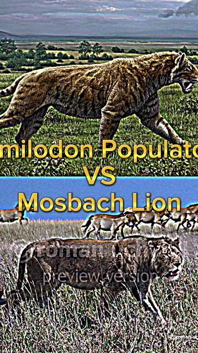 TikTok video thumbnail by biologistaidan