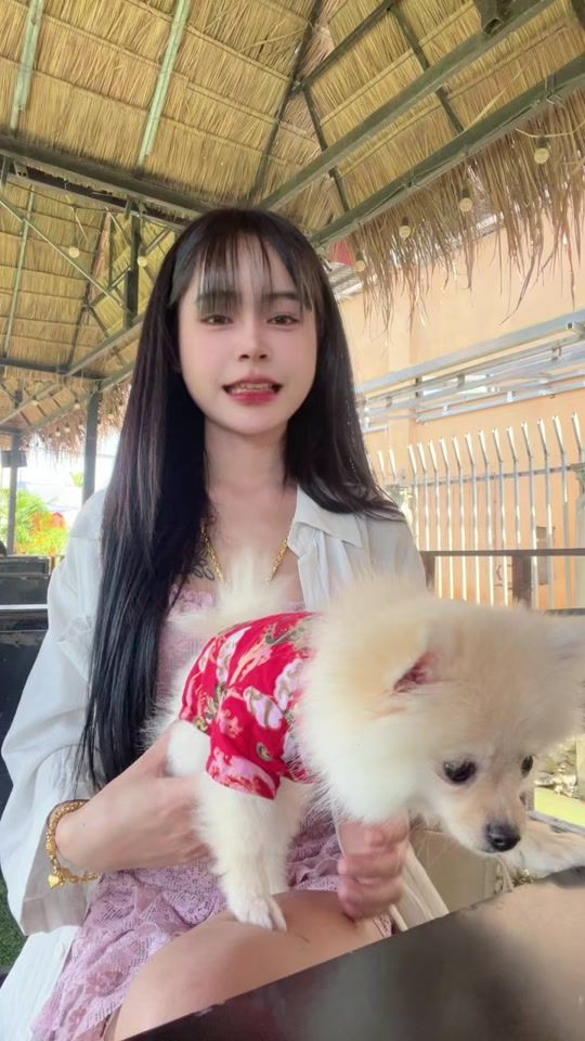 TikTok video thumbnail by lutsamee107