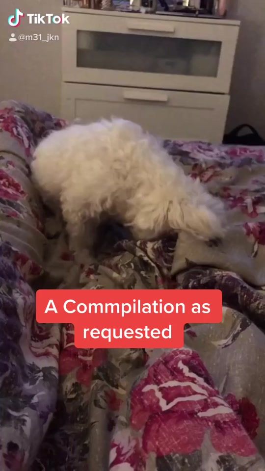 TikTok video thumbnail by benjixbeau