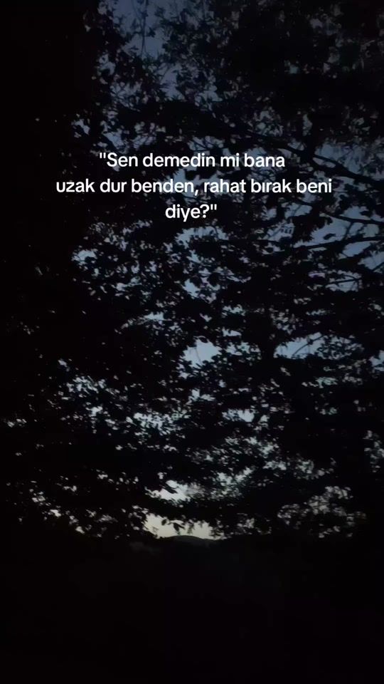 TikTok video thumbnail by lyricsssaad
