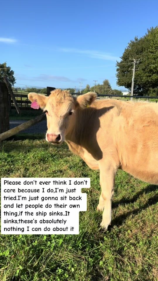 TikTok video thumbnail by nzfarming124