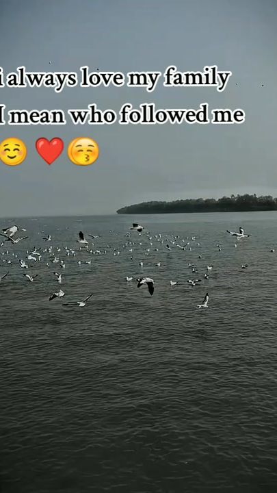 TikTok video thumbnail by rakibfatema1