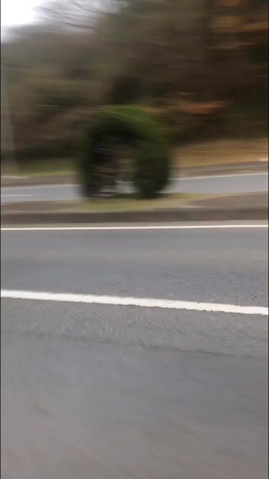 TikTok video thumbnail by miyupo____