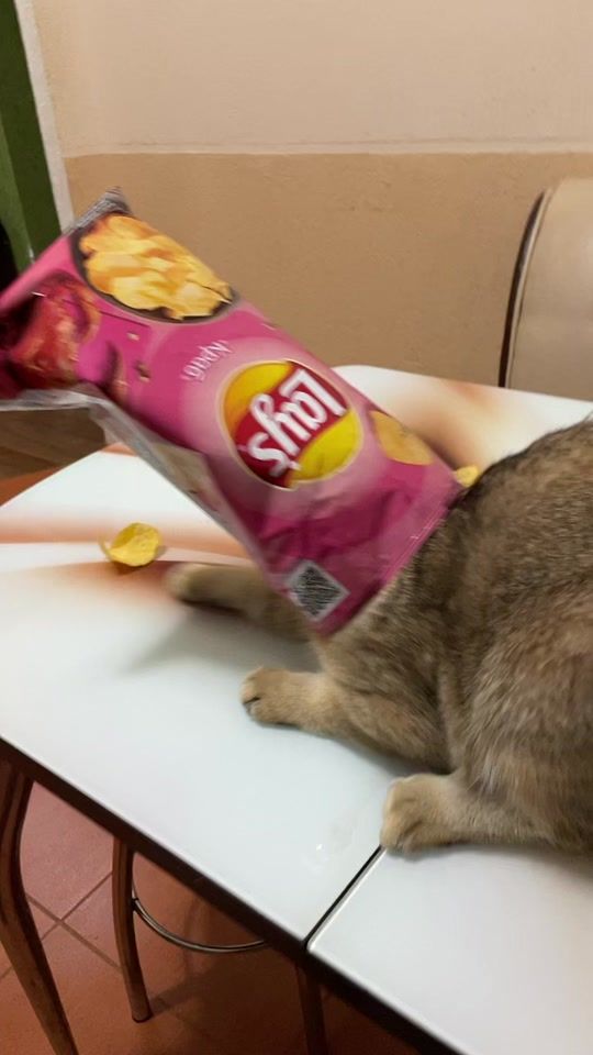 TikTok video thumbnail by romeo_duk