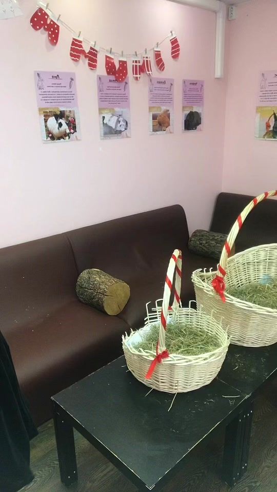TikTok video thumbnail by zaycafe.ru