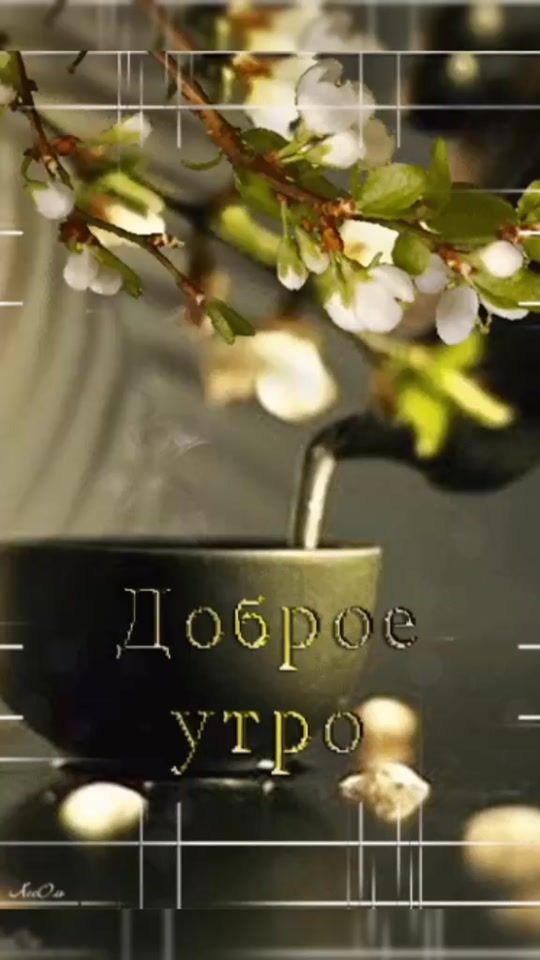 TikTok video thumbnail by pozdravlyalo4ka