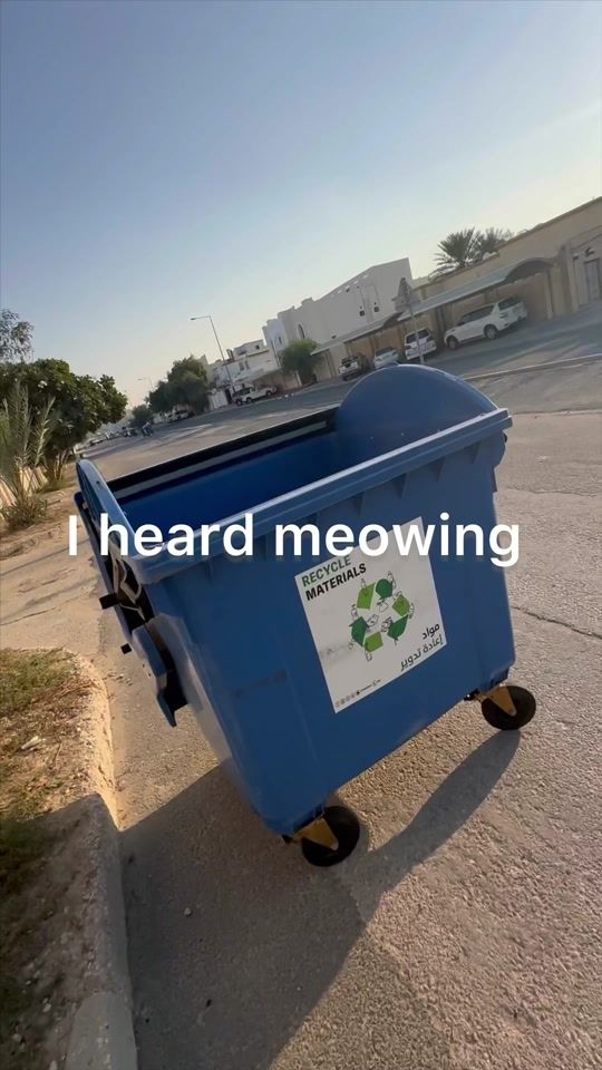 TikTok video thumbnail by nivinenassereldine