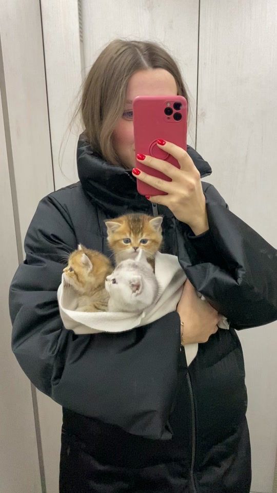 TikTok video thumbnail by zimakitten