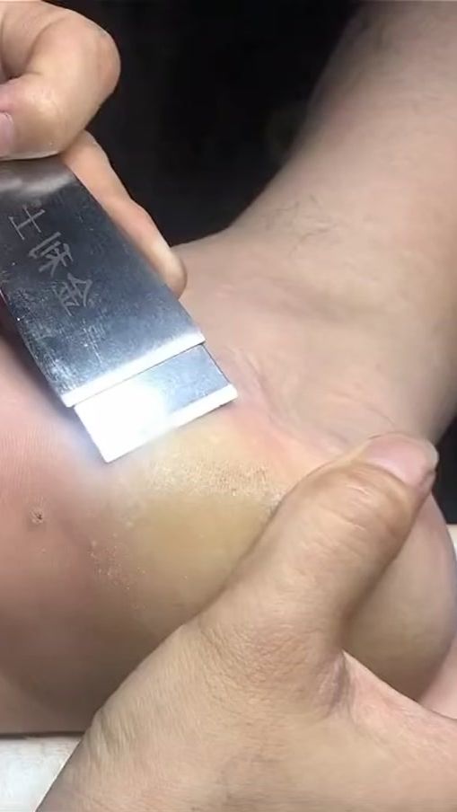 TikTok video thumbnail by donnienblossie