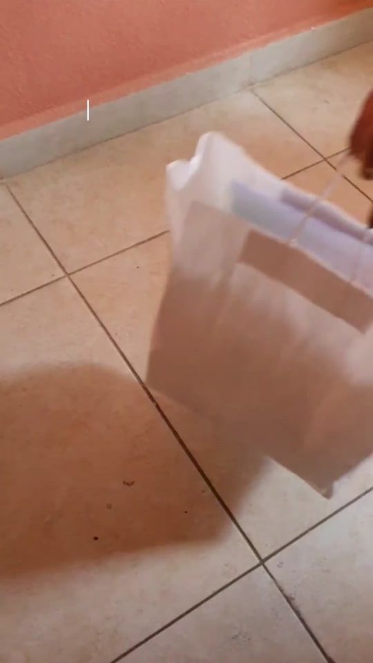 TikTok video thumbnail by luja_fah