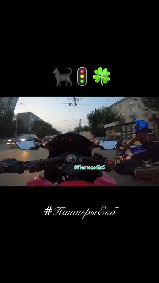TikTok video thumbnail by panthersekb
