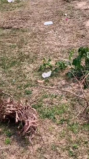 TikTok video thumbnail by ogzin54