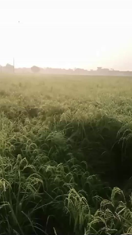 TikTok video thumbnail by sadiag45