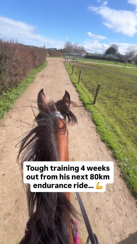 TikTok video thumbnail by kiwi_endurance