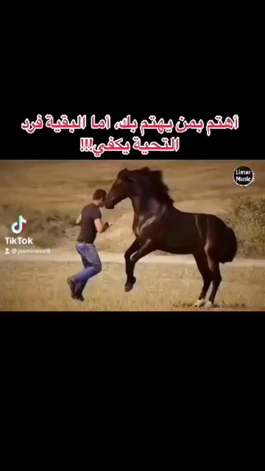 TikTok video thumbnail by jasminesal8