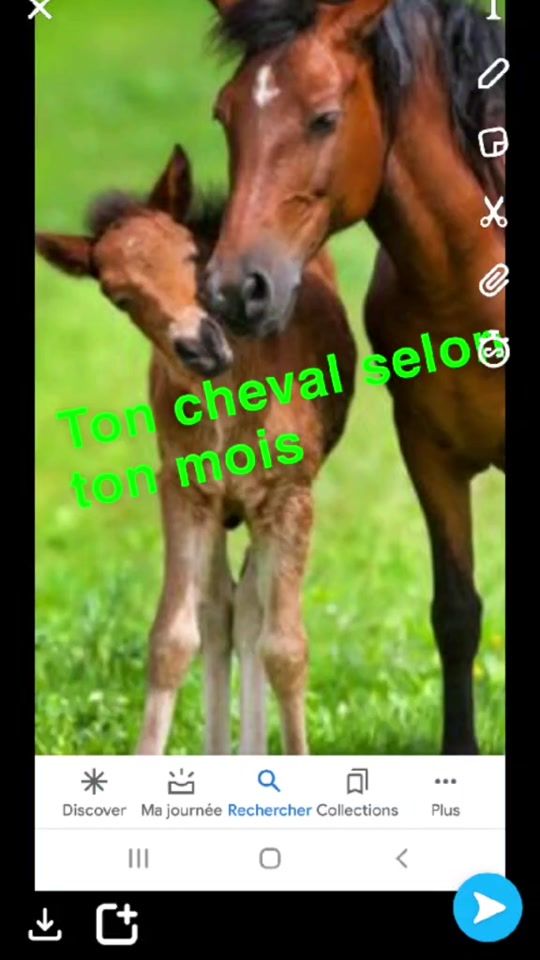 TikTok video thumbnail by bad.moon.citation