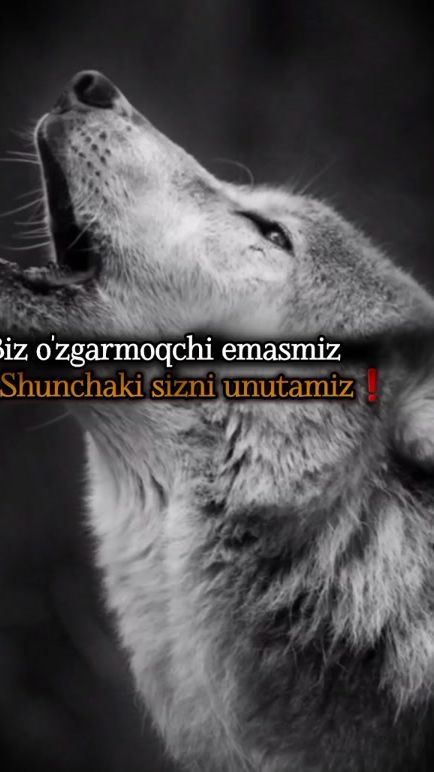 TikTok video thumbnail by jasur_mv