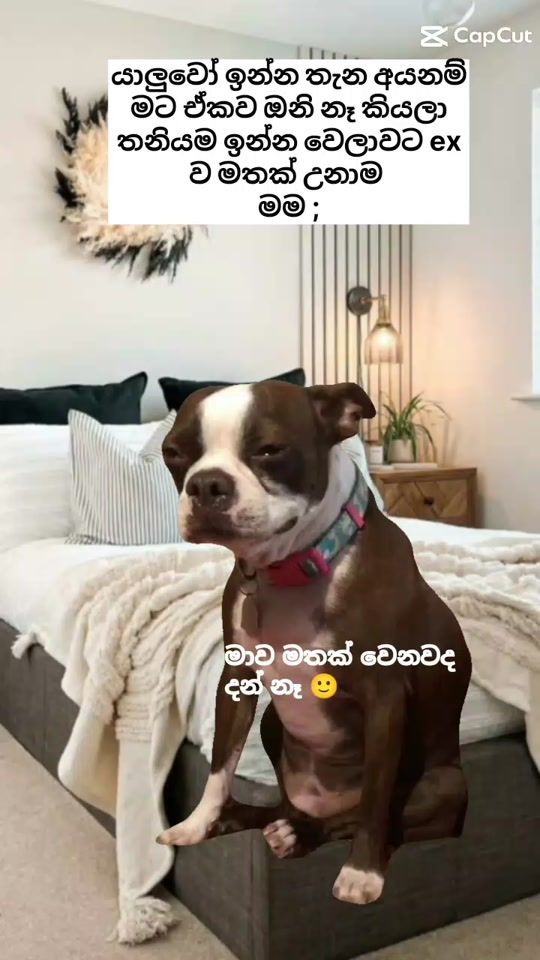 TikTok video thumbnail by kavii___3
