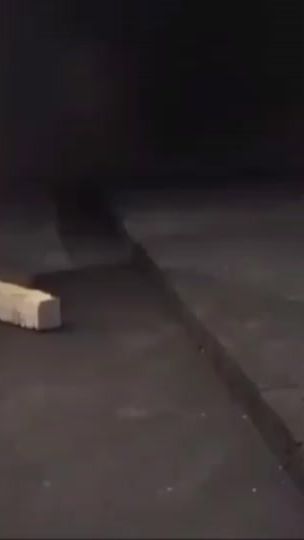 TikTok video thumbnail by daa__20