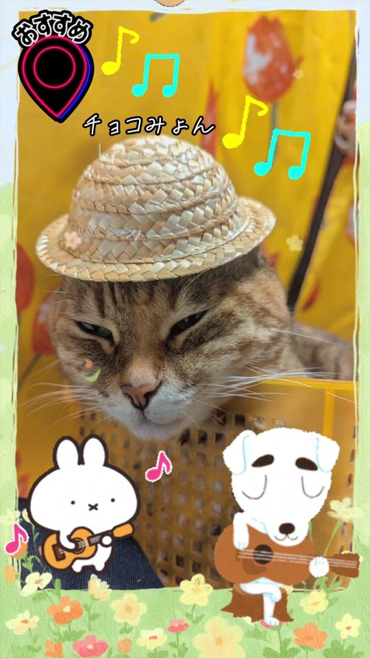 TikTok video thumbnail by hidegu___