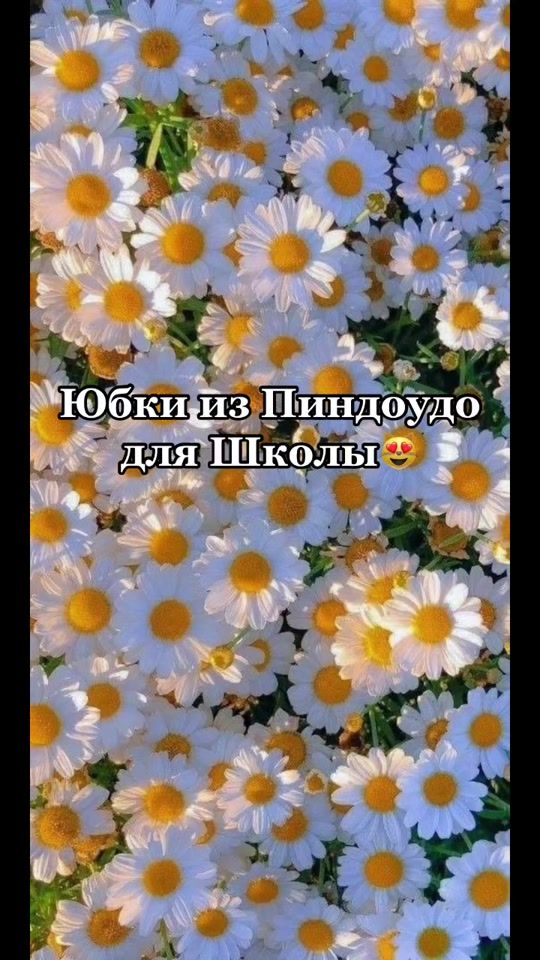 TikTok video thumbnail by _pindodo_