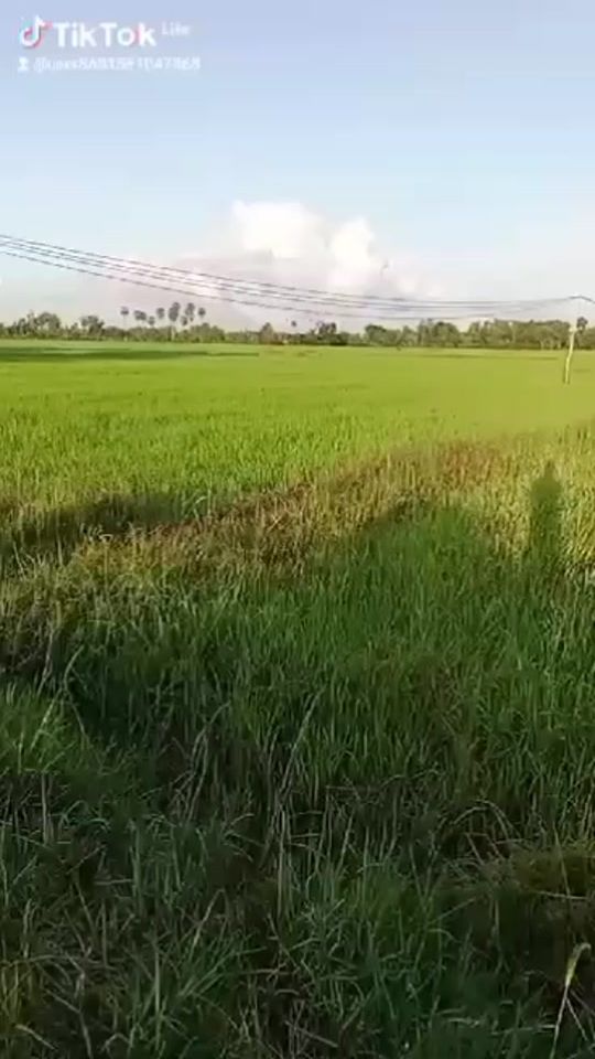 TikTok video thumbnail by ml6168ml6168