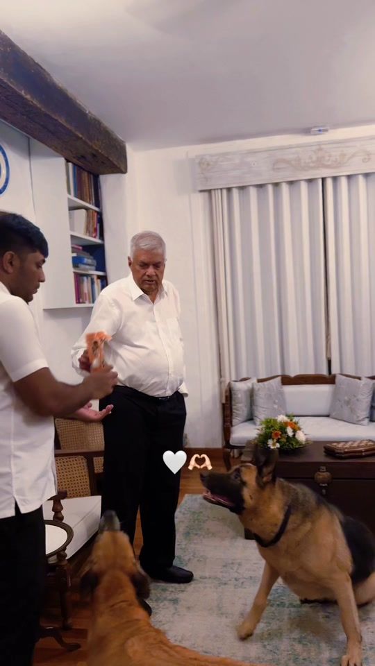 TikTok video thumbnail by answerisranil