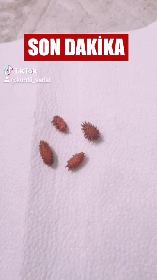 TikTok video thumbnail by sedat6_3
