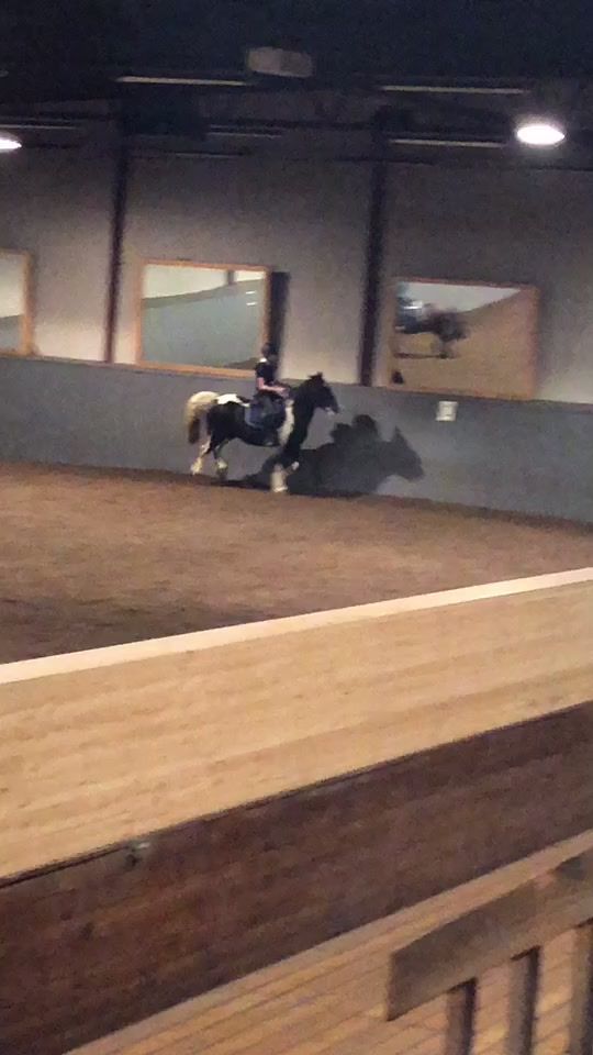 TikTok video thumbnail by equestrians._.elin