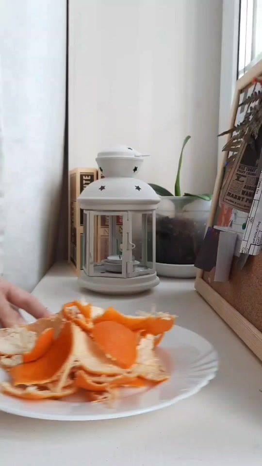 TikTok video thumbnail by good.forest.fairy