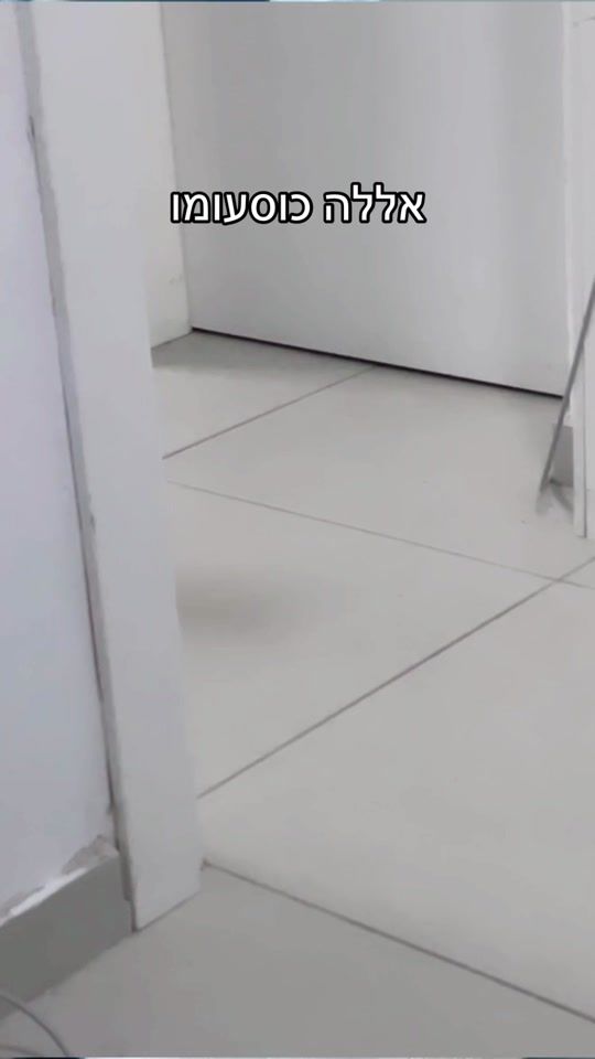 TikTok video thumbnail by _ofir_cohenn