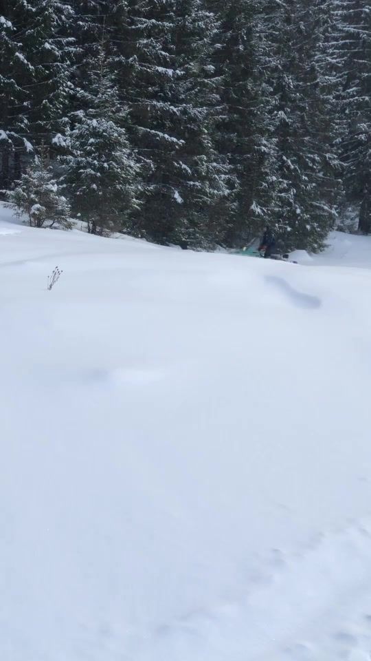 TikTok video thumbnail by serega1593