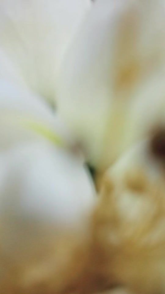 TikTok video thumbnail by salongelincik