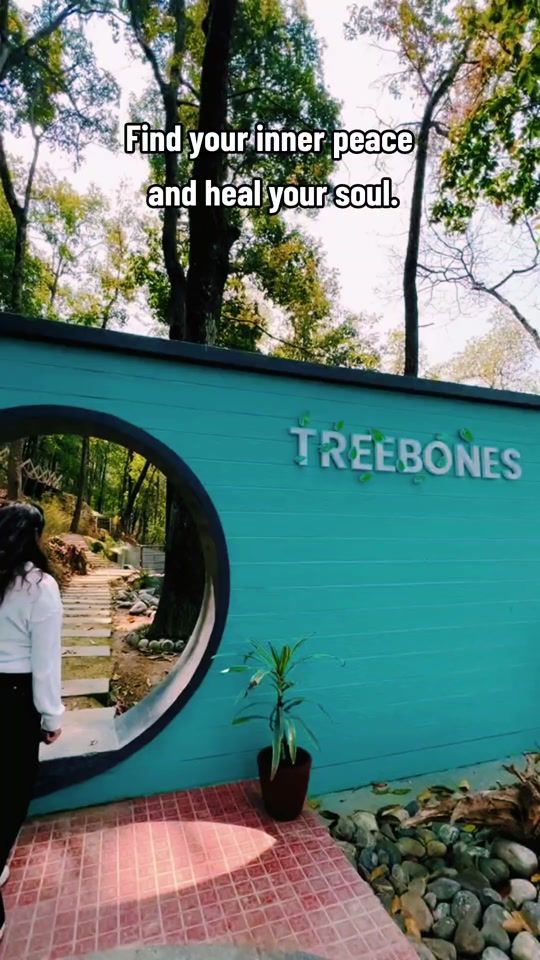 TikTok video thumbnail by treebonesnepal
