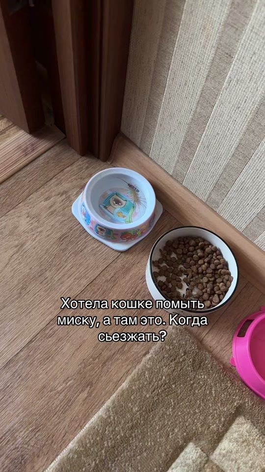 TikTok video thumbnail by klipkin1
